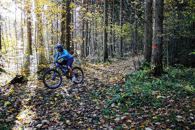 Radfahren im November? Solange es keinen Schnee hat, geht das hervorragend, es braucht nur etwas mehr Kleidung als im Hochsommer bei 36 ...
