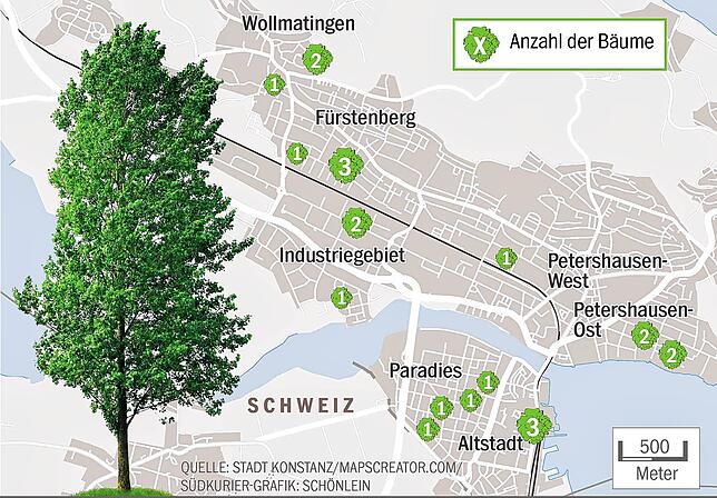 Bild 1: Es grünt immer mehr: In Konstanz sollen über 20 neue Bäume bald Schatten spenden