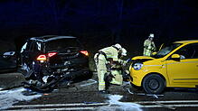 Beim Unfall auf der Schwenninger Steig wurden am 12. Januar vier Personen leicht verletzt. Aufgrund zu hoher Geschwindigkeit kam ein ...