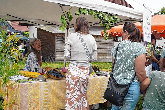Bild 9: Die schönsten Bilder vom Herbstmarkt in Frickingen