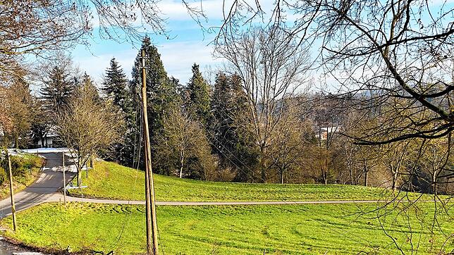 In der Nähe der Abzweigung zur Schorenmühle stürzte in der Silvesternacht ein Baum in eine Stromleitung, welche mehre Gebäude versorgt ...