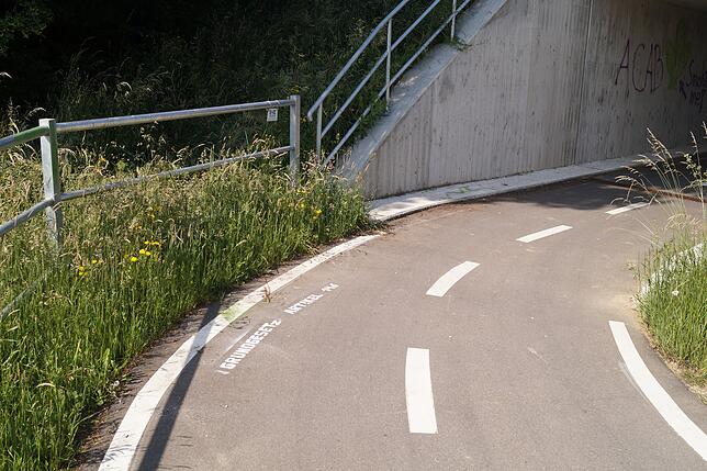 Zwischen Allensbach und Dettingen.