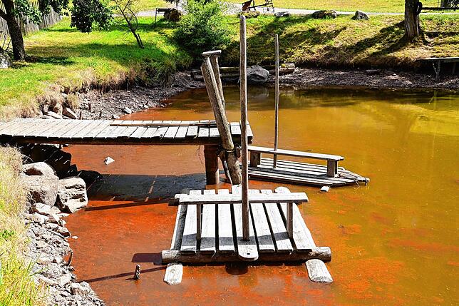 Der Wasserstand des Hofweihers beim Hirzbauernhof in Brigach ist in den vergangenen Wochen stark abgesunken, hier ein Bild vom 23. Juli. ...
