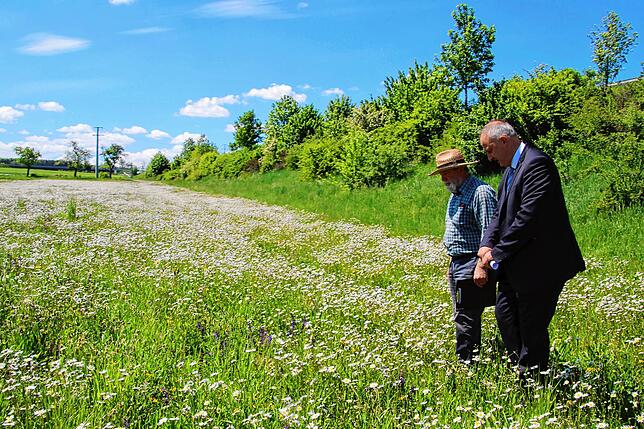 Peter Marx (links) und Bürgermeister Michael Kollmeier begutachten im Juni 2020, wie sich die Blumenwiese zwischen Bundesstraße und der ...