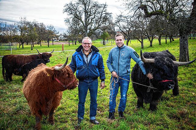 Roland (links) und Patrick Romer mit ihren schottischen Hochlandrindern.