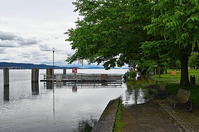 Bei einem Pegel von 509cm (Konstanz) sieht es im Uferpark von Bodman so aus.