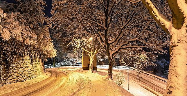 Bild 5: Schnee so weit das Auge reicht: So schön war das Winter-Wochenende in der Region