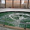 Hier sprudelt das Wasser: Ein Bild aus der Anlage der Bodensee-Wasserversorgung in Sipplingen. Doch auch anderswo gibt es derzeit keine ...