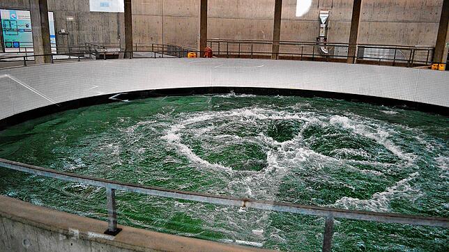 Hier sprudelt das Wasser: Ein Bild aus der Anlage der Bodensee-Wasserversorgung in Sipplingen. Doch auch anderswo gibt es derzeit keine ...