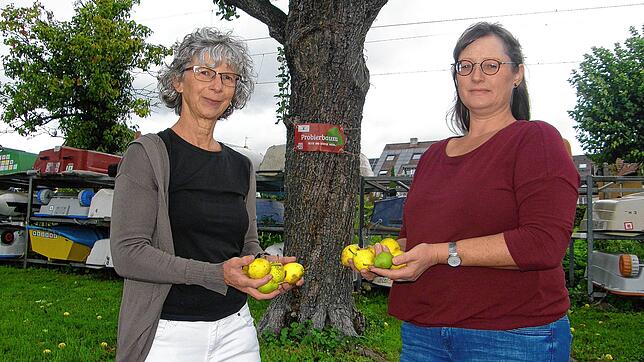 Brigitte Bautze (links) von der Lokalen Agenda und Jeannette Klingbeil hatten die Idee, in Allensbach Probierbäume zu markieren &ndash; ...
