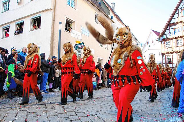 Bild 16: "Komm lass uns fröhlich sein" - Rosenmontag in Meßkirch 2025