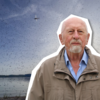 Was schwirrt denn da am Bodenseeufer? Rainer Bretthauer weiß das, er ist Biologe und ehrenamtlicher Umwelt- und Klimaschutzbeauftragter.