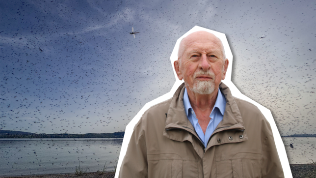 Was schwirrt denn da am Bodenseeufer? Rainer Bretthauer weiß das, er ist Biologe und ehrenamtlicher Umwelt- und Klimaschutzbeauftragter.