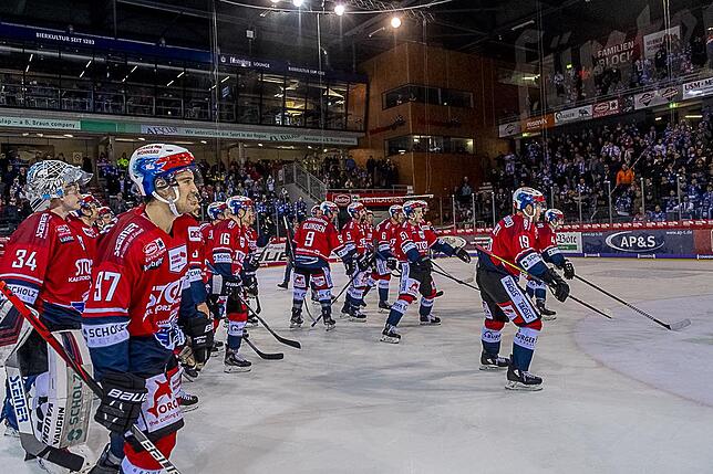 Bild 27: Die Wild Wings siegen wieder in der Deutschen Eishockey-Liga