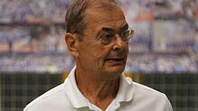 Stelian Moculescu.