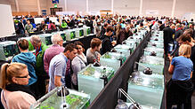 Am Wochenende geht es bei der Messe Friedrichshafen um den Fisch: Peta kritisiert die Veranstaltung und meint, sie verherrliche ein ...