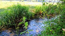 Die Stadt Pfullendorf bezieht ihr Wasser aus dem Andelsbachtal, wo die Versorgung durch eigene Brunnen gesichert ist.
