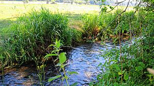 Die Stadt Pfullendorf bezieht ihr Wasser aus dem Andelsbachtal, wo die Versorgung durch eigene Brunnen gesichert ist.
