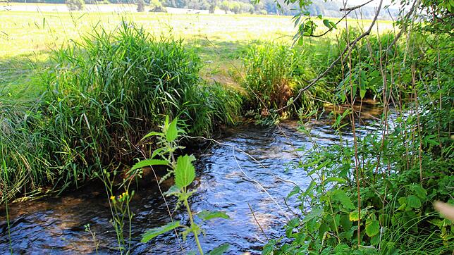 Die Stadt Pfullendorf bezieht ihr Wasser aus dem Andelsbachtal, wo die Versorgung durch eigene Brunnen gesichert ist.