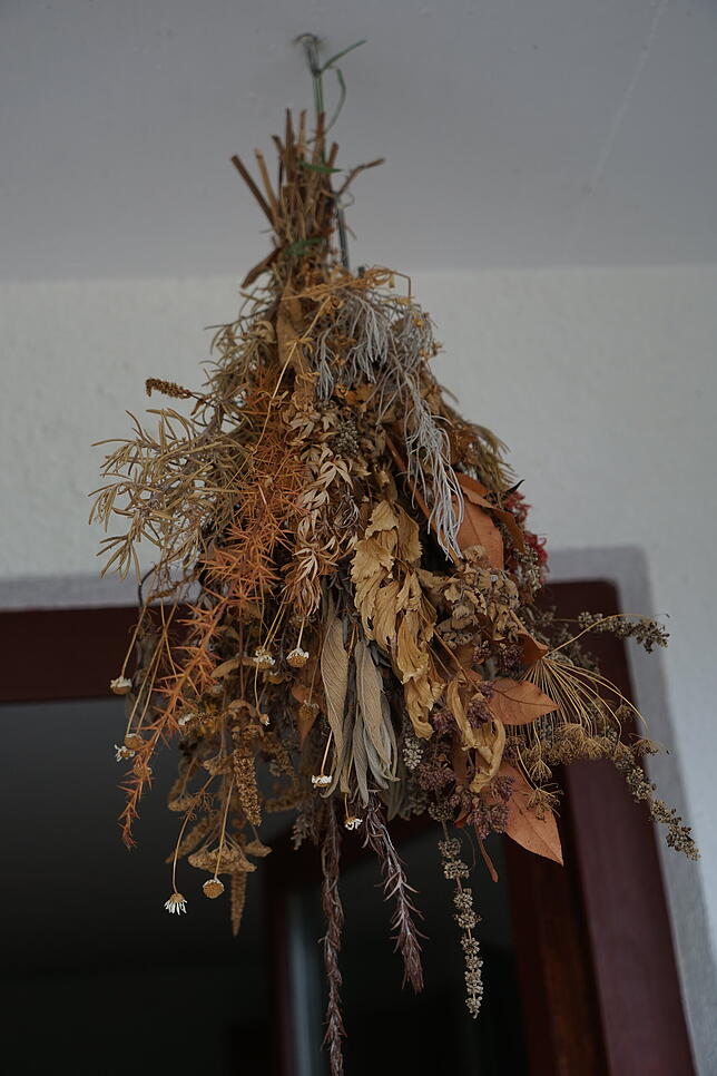 Ein Kräuterstrauch hängt über dem Balkon von Claudia Thoma.