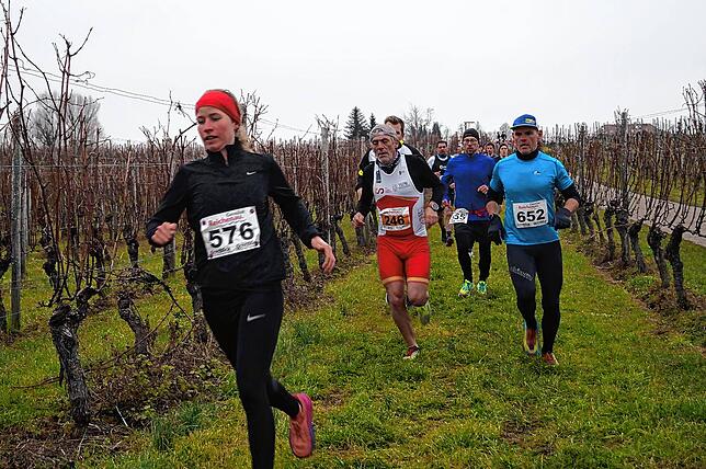Bild 8: Bilder vom Crosslauf Hegau-Bodensee in den Reben oberhalb der Haltnau