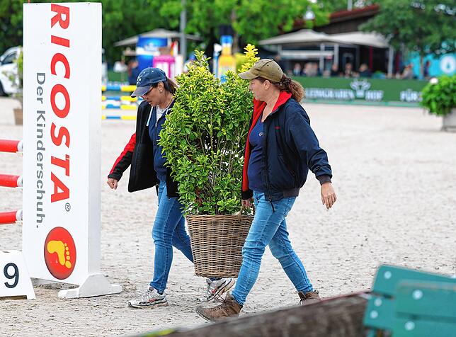 Bild 8: Pferde, Familien Attraktionen: Das Fest Donaueschinger der Pferde auf den Immenhöfen 2025 in Bildern