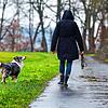 In Grenzach-Wyhlen hat am Samstag eine Frau mit einer Hundeleine eine andere Hundebesitzerin geschlagen. (Symbolbild)
