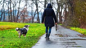 In Grenzach-Wyhlen hat am Samstag eine Frau mit einer Hundeleine eine andere Hundebesitzerin geschlagen. (Symbolbild)