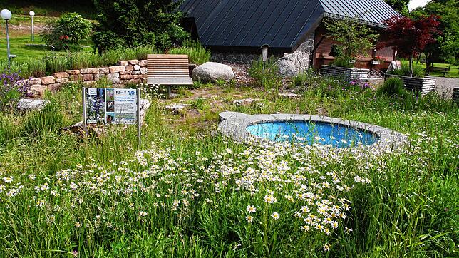 Auch dieser Platz in der Dorfmitte von Rickenbach beim Hirschagrten wird vom Schwarzwaldverein gepflegt.