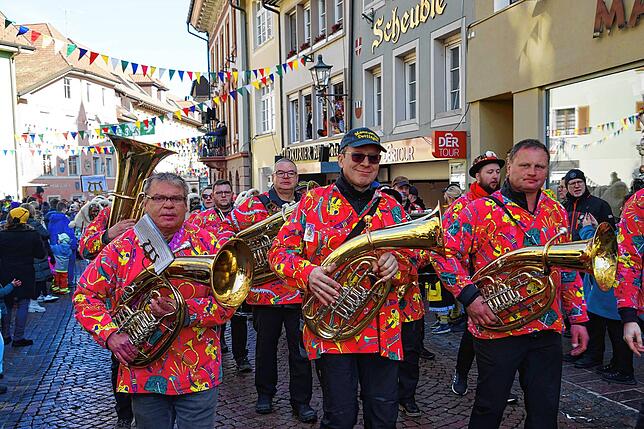 Bild 22: Bilder vom Umzug des Hochrhein Narrentreffens in Tiengen (Teil 2)