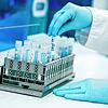Ein Mitarbeiter hält in einem Labor ein PCR-Teströhrchen in den Händen. Eine möglicherweise noch leichter übertragbare ...