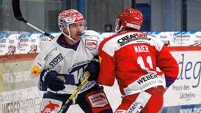 Mitch Wahl ist überzeugt, dass er mit den Wild Wings in der kommenden DEL-Saison erfolgreich sein wird.