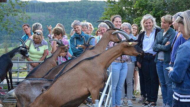 50 Landfrauen aus dem Bezirk Waldshut ließen sich bei einer Hofführung mit Christina Burkard (rechts) das Konzept des Lindenhofs ...