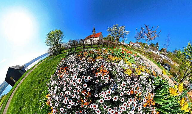 Bald startet die Landesgartenschau in Überlingen. Die Pflanzen blühen bereits.