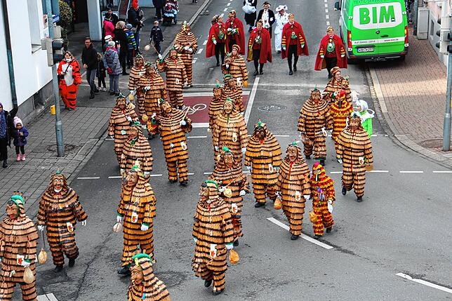 Bild 4: Etzt kummt de Narrenbom! Bilder vom Narrenbaumumzug in Radolfzell