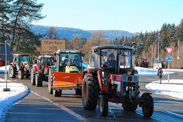 Bild 11: Bauern protestieren gegen Sparpläne: Bilder vom Traktorkorso zur Brauerei Rothaus