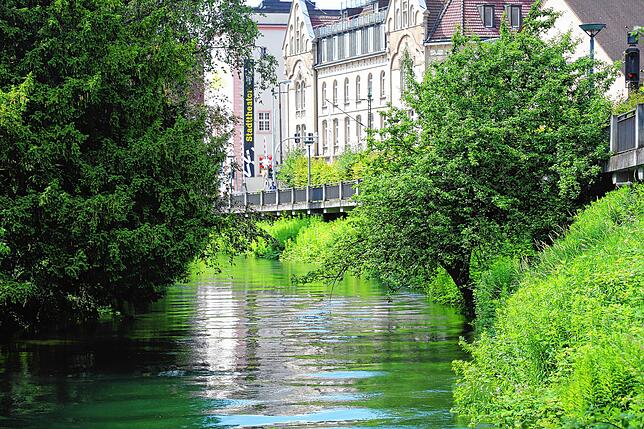 Bild 4: Hochwasser am Bodensee: Wasserstand vor Konstanz erneut über fünf Metern