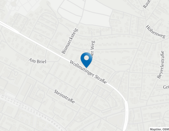 In etwa hier könnte er stehen: Die Stadt Konstanz möchte einen Blitzer an der Wollmatinger Straße zwischen Bismarcksteig und ...