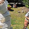 Das Mumienspiel beim Kindergeburtstag produziert viel Müll – das räumt der kleine Bruder lieber gleich auf.