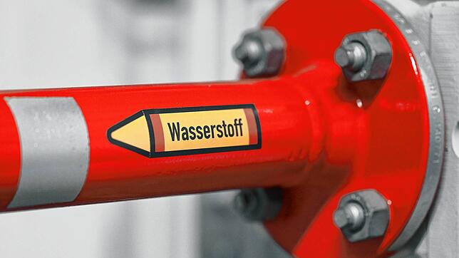 Wie schafft es die Region zum Wasserstoff-Vorreiter zu werden? Diese Frage wurde beim vierten Wasserstoff-Forum der IHK ...