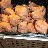 Auch Süßkartoffeln wachsen auf den Feldern der Insel Reichenau.
