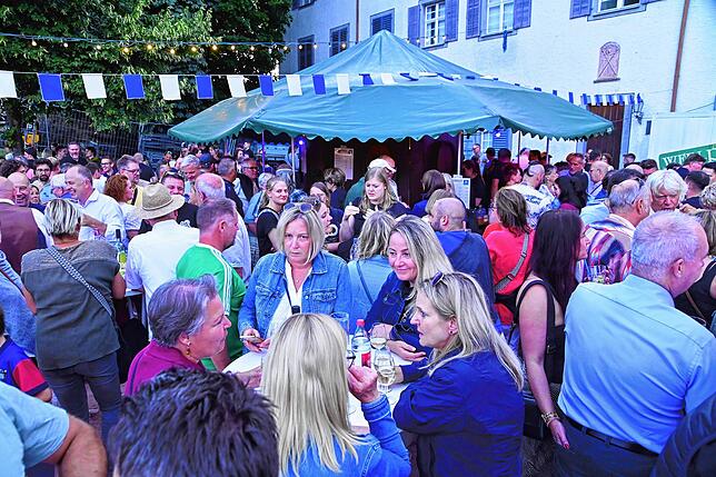 Bild 10: Die Narrozunft erwies sich wieder als perfekter Gastgeber beim Sommerfest im Spitalgarten.