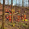 Die Feuerwehr musste am Mittwochabend einen Mann in einem nur sehr schwer zugänglichen Waldbereich zwischen Zimmerholz und Stetten mit ...