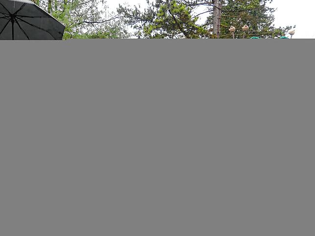 Bild 8: Rathaussturm in Bermatingen: Die spektakulären Bilder des Aufstands!