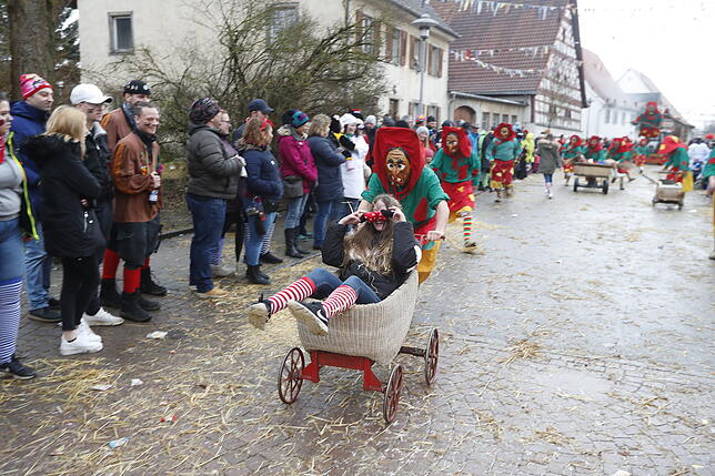 Bild 31: Bilder zum großen Narrentreffen in Pfohren (4)