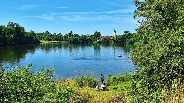 Der Kofenweiher ist ein idylischer Badesee inmitten der Stadt (Archivbild). Doch die Idylle täuscht derzeit für Hundebesitzer und ihre ...