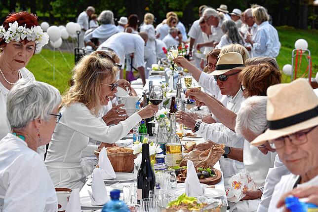 Bild 17: Französisches Picknick ganz in Weiß im Donaueschinger Schlosspark