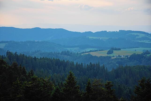 Vom Schwarzwald bis zum Hochrhein herrschte bei Leibeigenen, Hörigen und auch freien Bauern meist bittere Not.