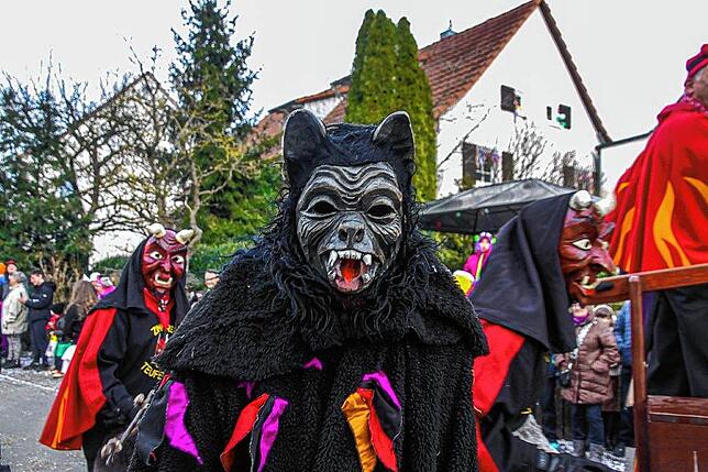 Bild 14: Narrenverein Heuliecher: Die besten Bilder aus dem Jubiläumsumzug