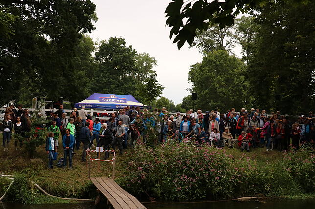 Bild 7: Bilder vom Marathon der Vierspänner beim Reitturnier in Donaueschingen